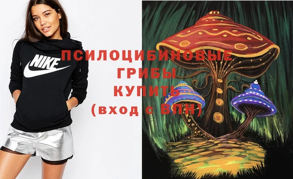 прущие крисы Алексин