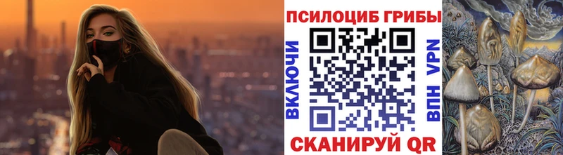 Псилоцибиновые грибы Psilocybine cubensis Ставрополь