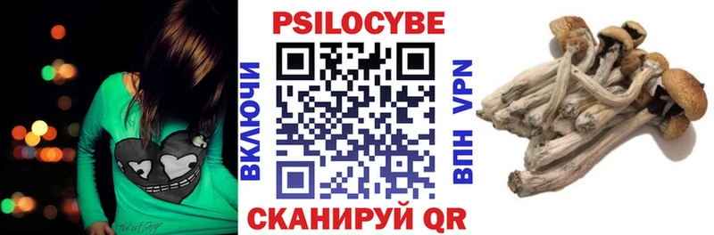 Галлюциногенные грибы Magic Shrooms  Ставрополь 